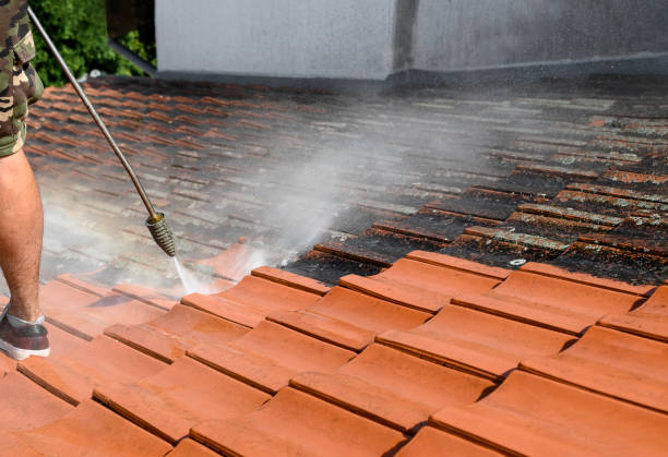 Best Best Pressure Washing Companies  in Ventress, LA