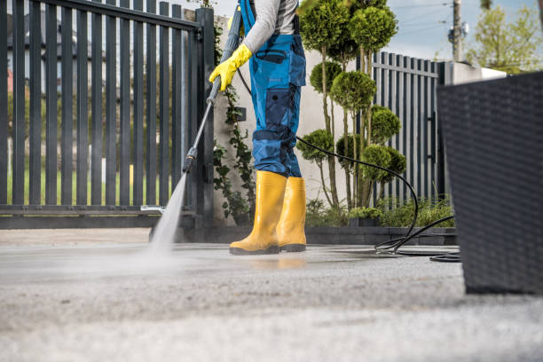Local Pressure Washing Services in Ventress, LA