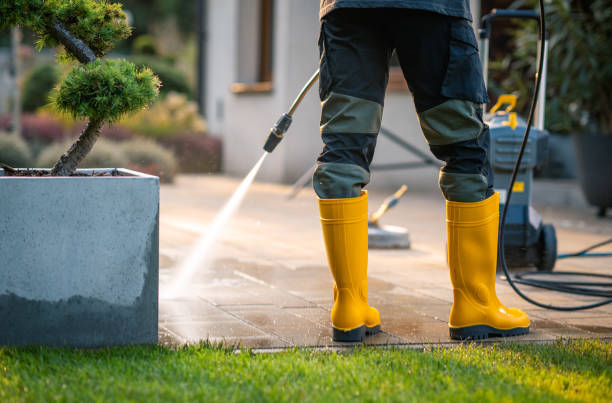 Best Pressure Washing Near Me  in Ventress, LA